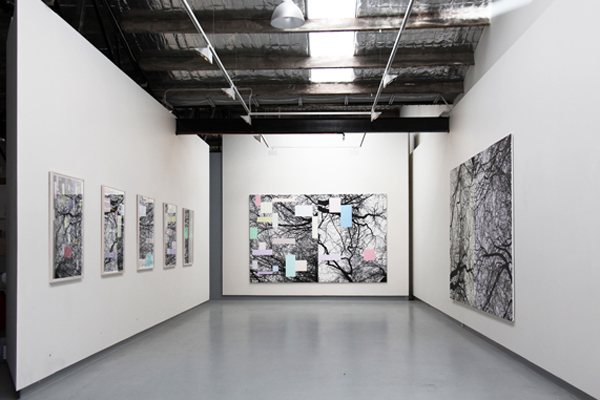 Opening of the Universe (Brahmasphutasiddhanta), installation view