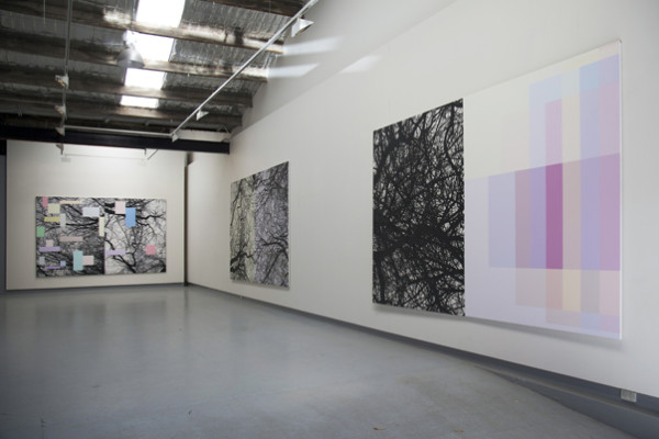 Opening of the Universe (Brahmasphutasiddhanta) - Fibonacci Trees, installation view