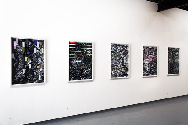 Opening of the Universe (Brahmasphutasiddhanta) - By Leaves We Live, installation view
